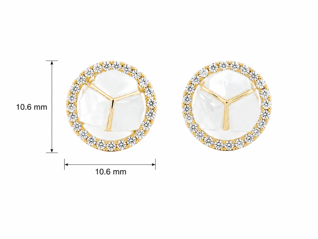 Charis Party Wear Earring251