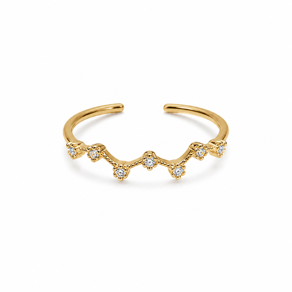Tiara Charm Adjustable Ring