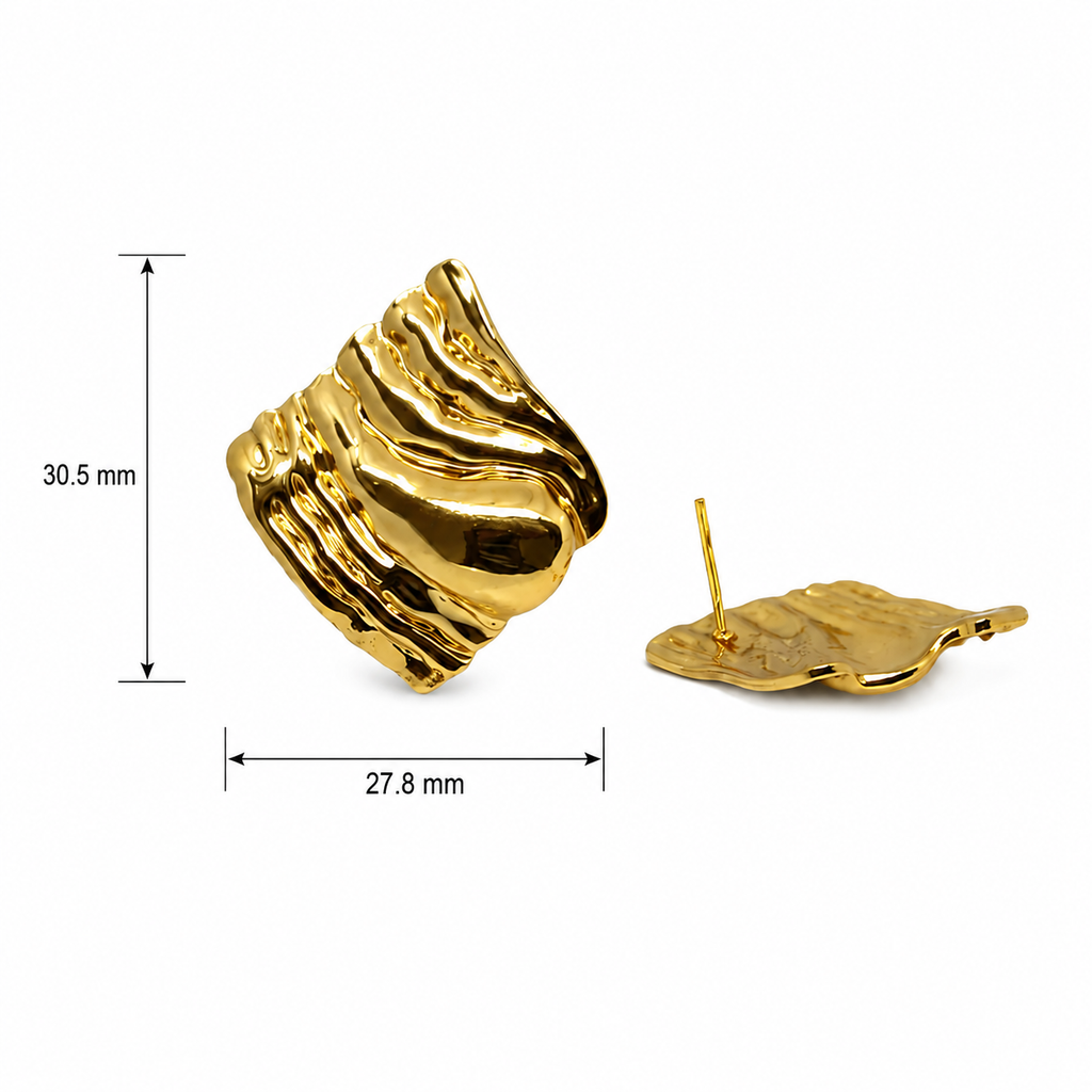Premium Stainless Steel Earring