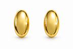 Steel Oval Earring