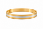 Gold and silver bangle on a white background