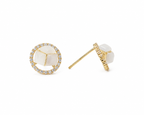 Charis Party Wear Earring251