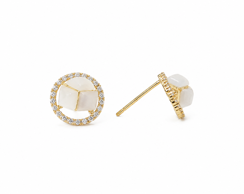 Charis Party Wear Earring251