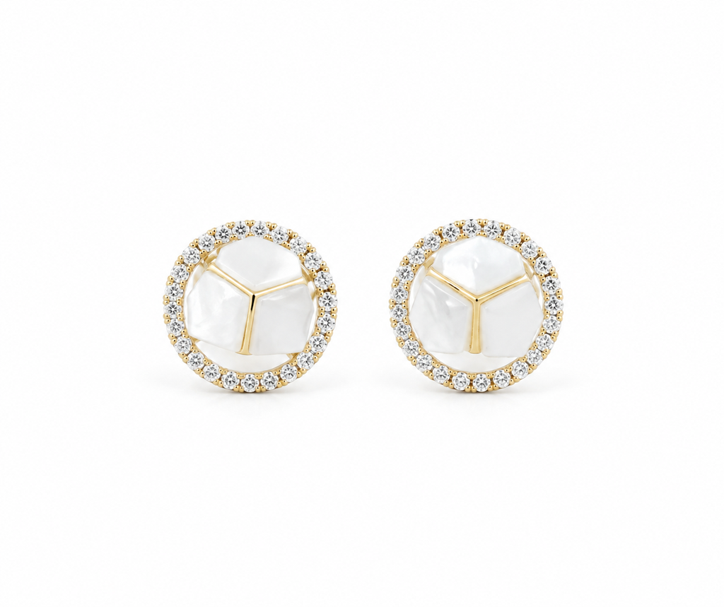 Charis Party Wear Earring251