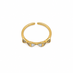Isis Minimal Ring